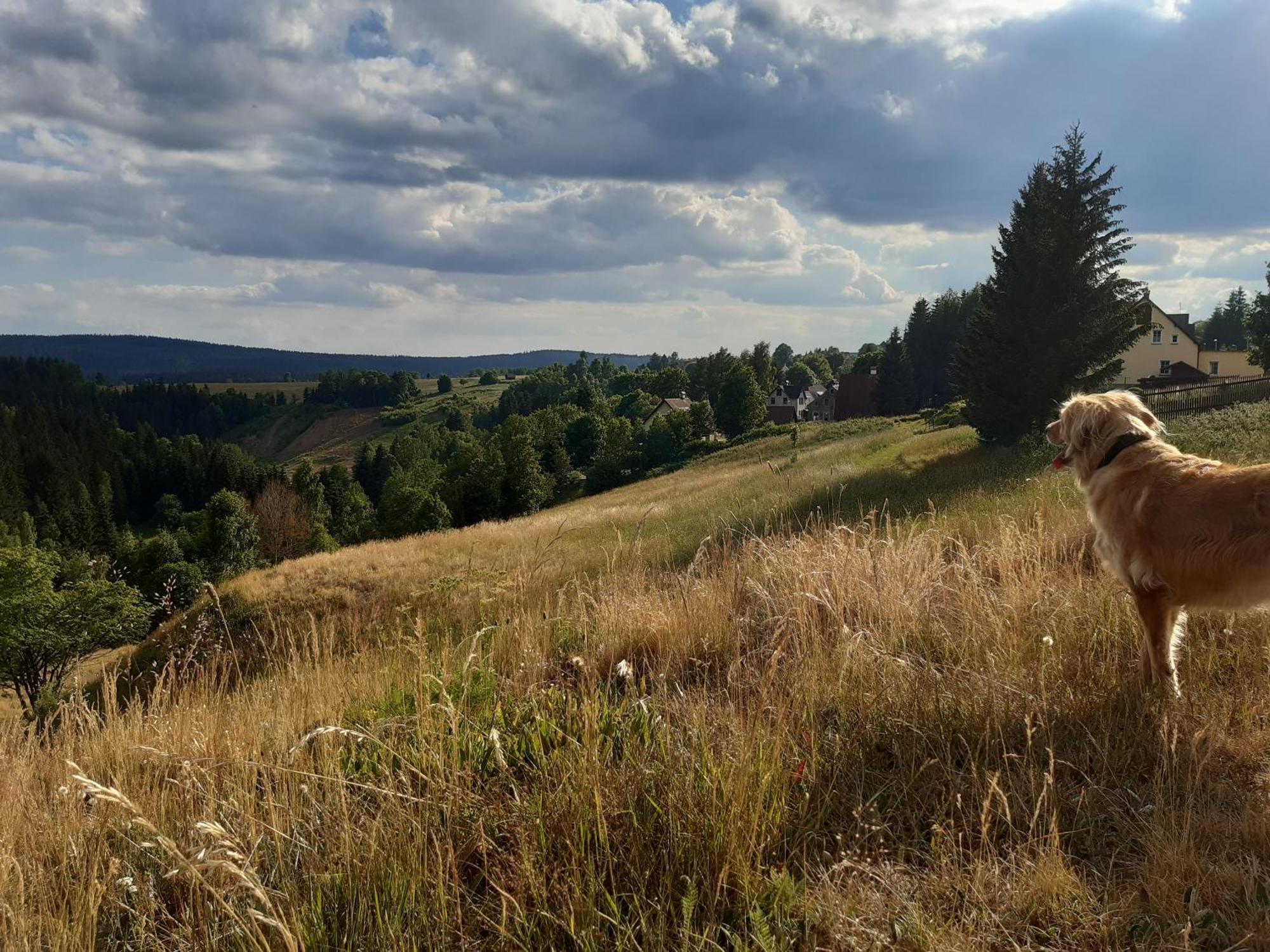 Resort Abertham - Penzion Ellen Abertamy Eksteriør bilde